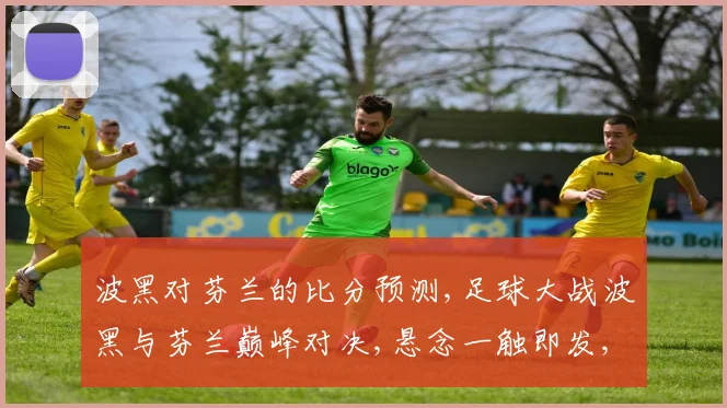 波黑对芬兰的比分预测,足球大战波黑与芬兰巅峰对决,悬念一触即发,谁能问鼎