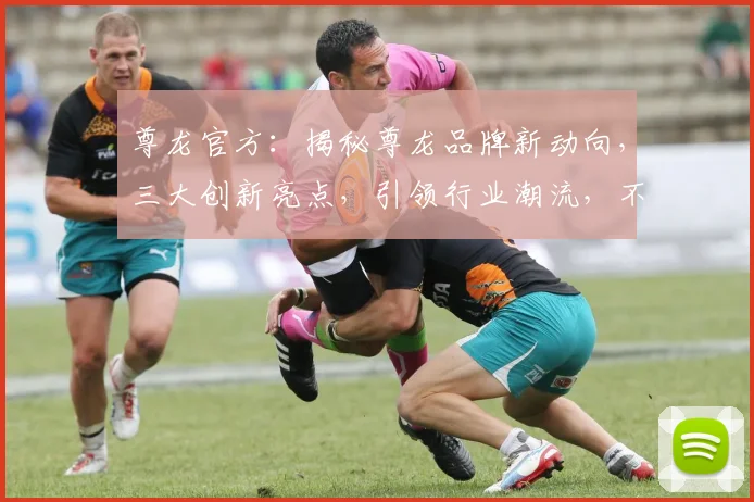 尊龙官方：揭秘尊龙品牌新动向，三大创新亮点，引领行业潮流，不容错过