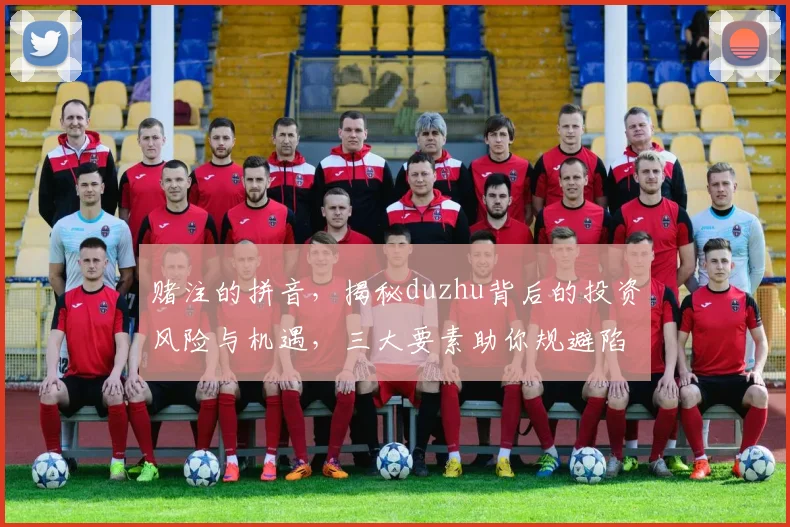赌注的拼音，揭秘duzhu背后的投资风险与机遇，三大要素助你规避陷阱，稳中求胜